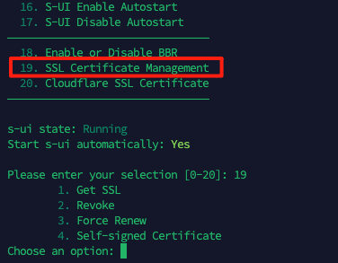 S-UI HTTPS 配置完整教程